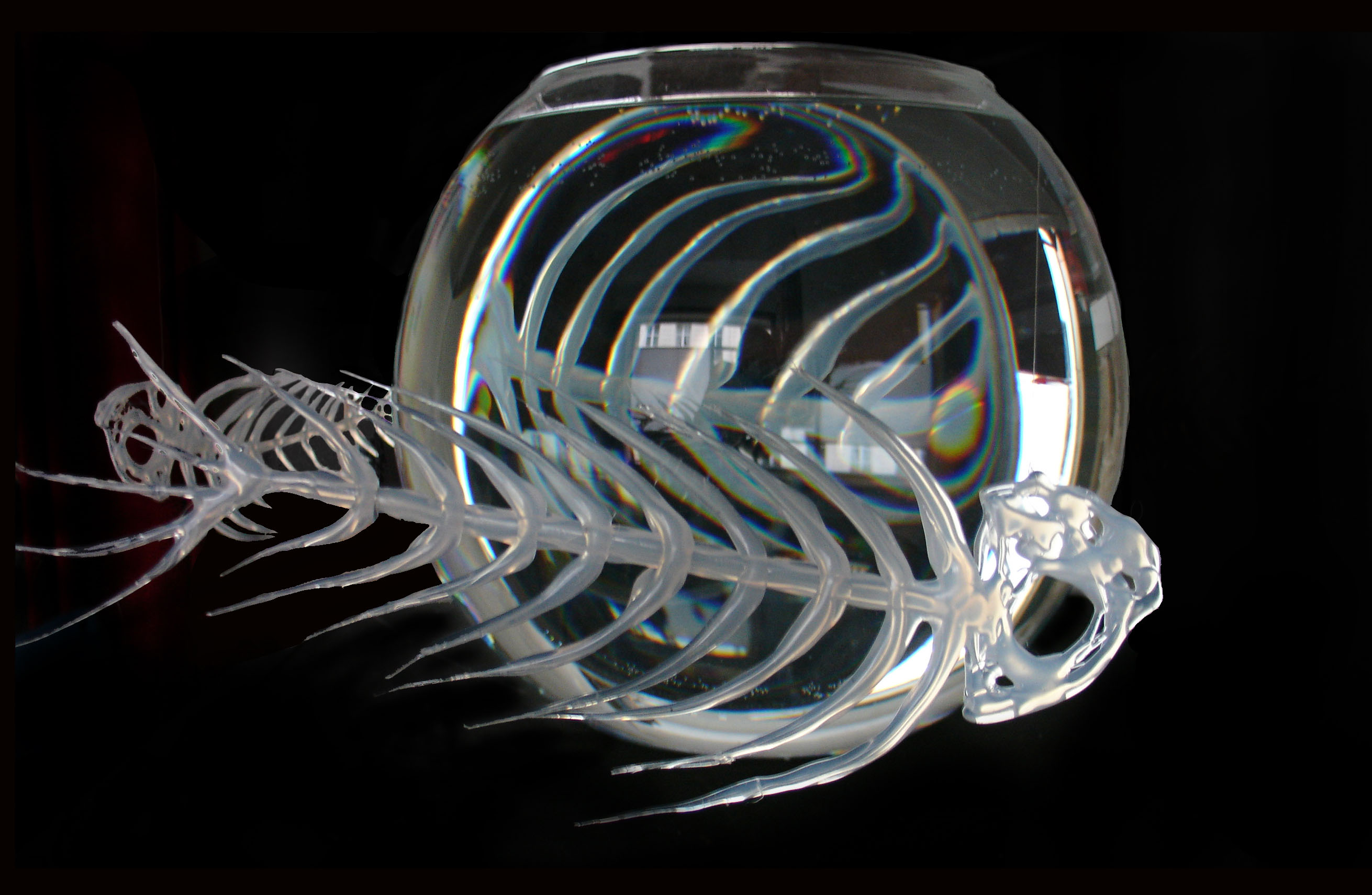 Silvi Simon aqua fini